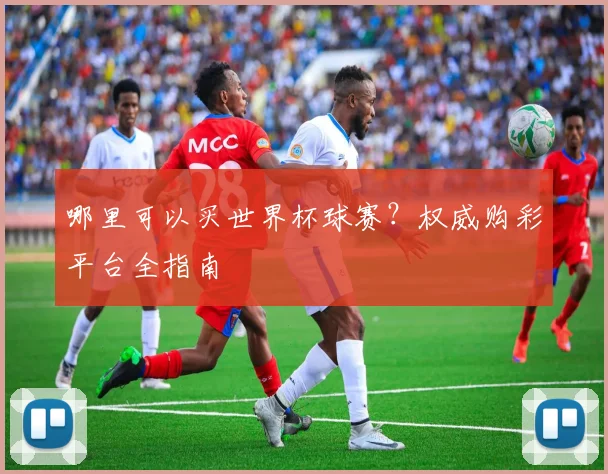 哪里可以买世界杯球赛？权威购彩平台全指南